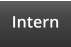 Intern
