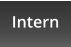Intern